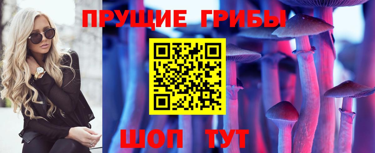 Псилоцибиновые грибы прущие грибы Коммунар