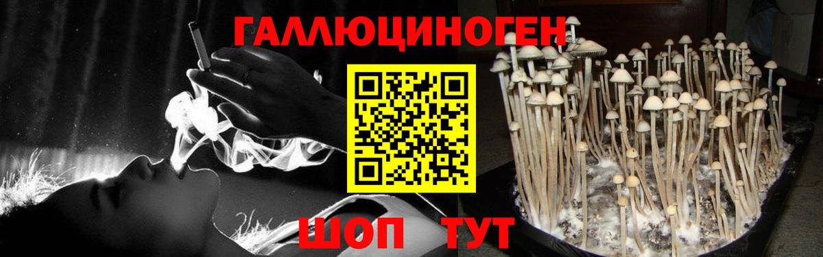 Галлюциногенные грибы мухоморы  Вход с VPN  дарнет шоп  Коммунар 